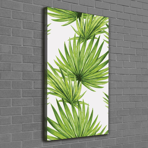 Canvas print Tropical leaves