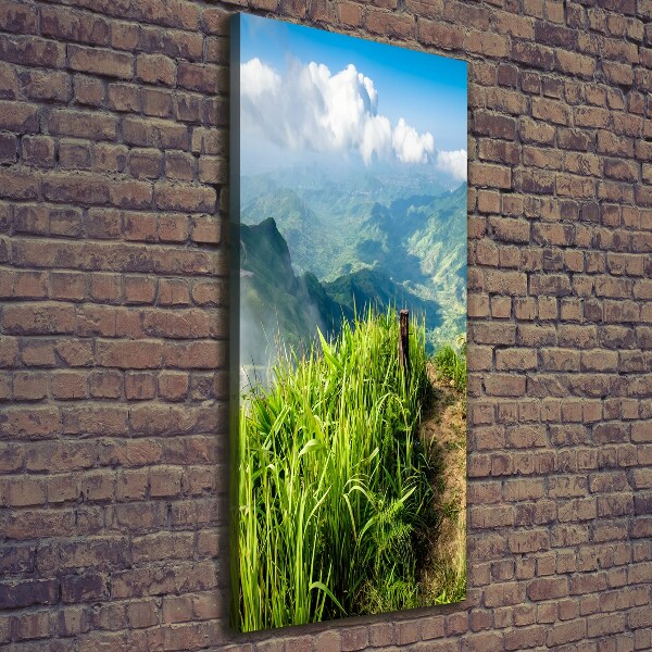 Wall art canvas large Mountain trail