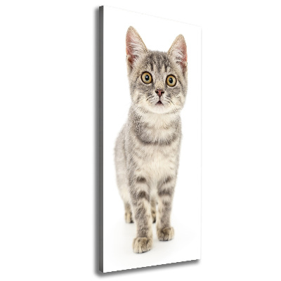 Canvas print Gray cat