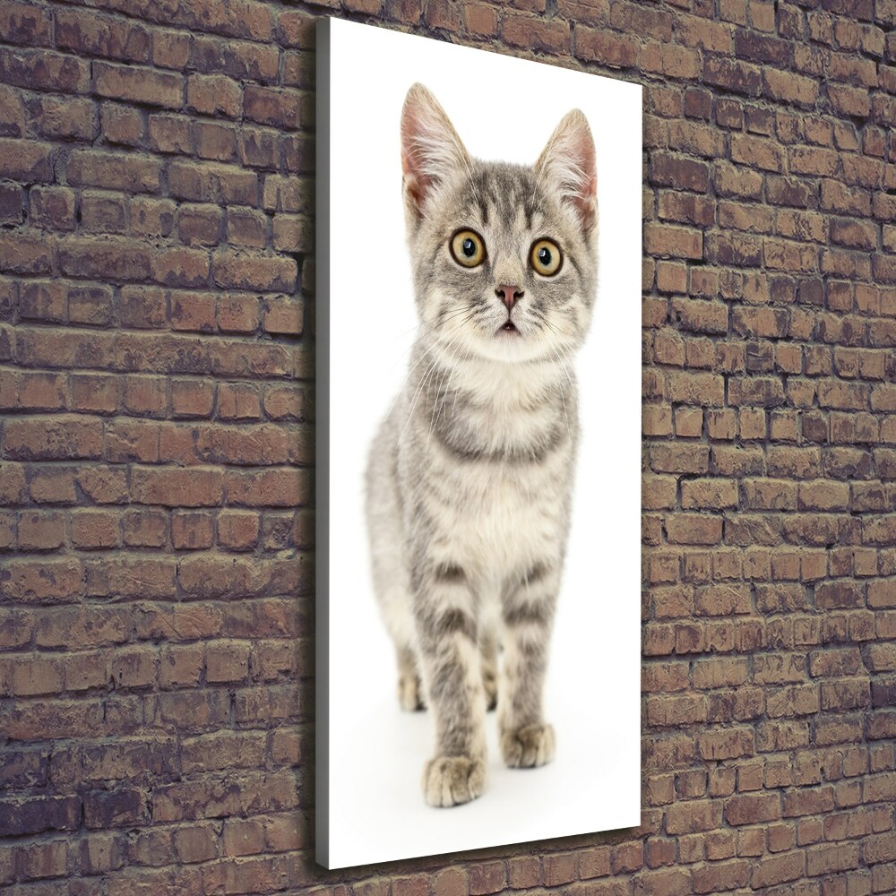 Canvas print Gray cat