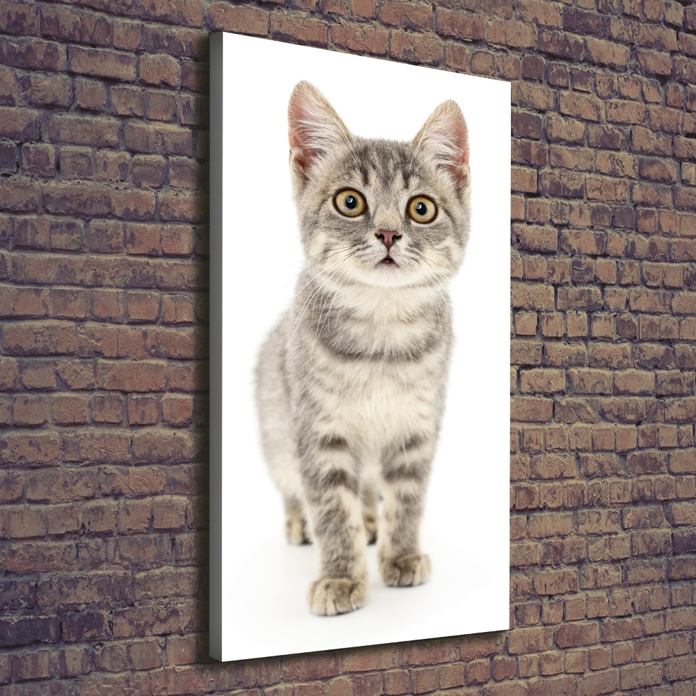 Canvas print Gray cat