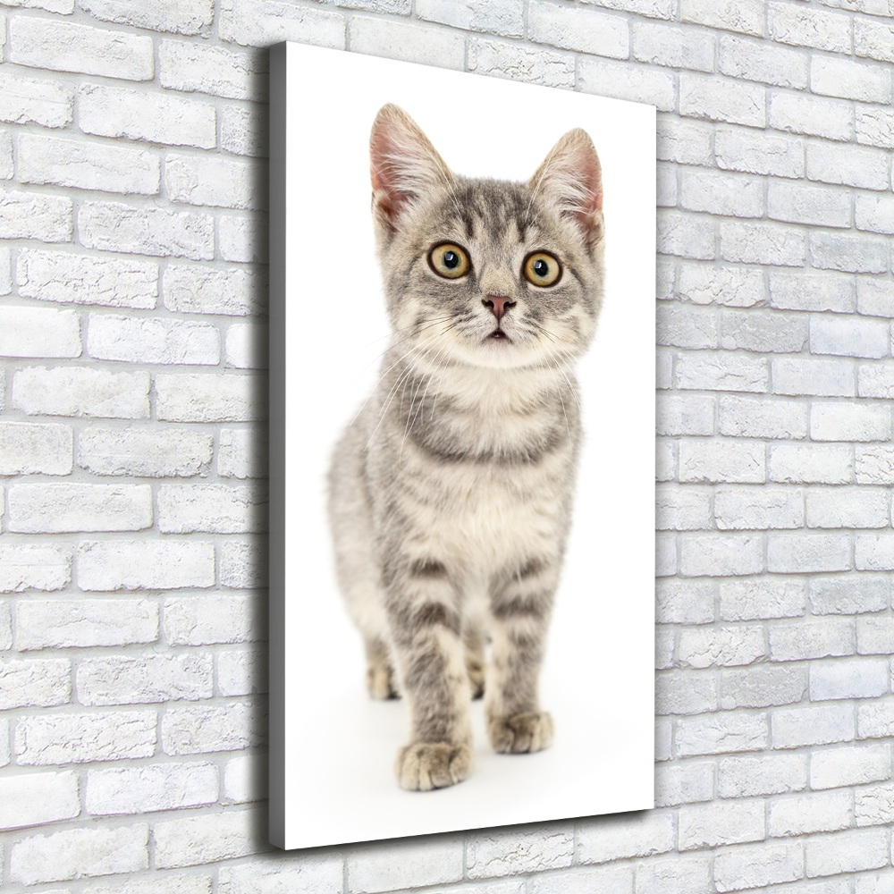 Canvas print Gray cat