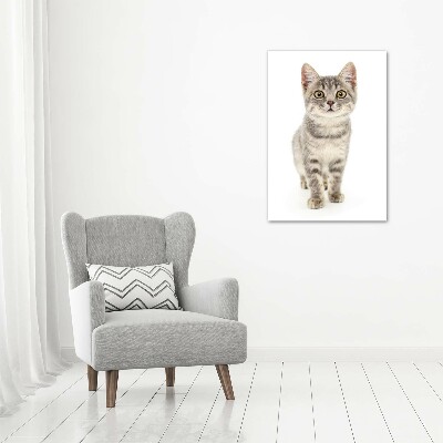 Canvas print Gray cat