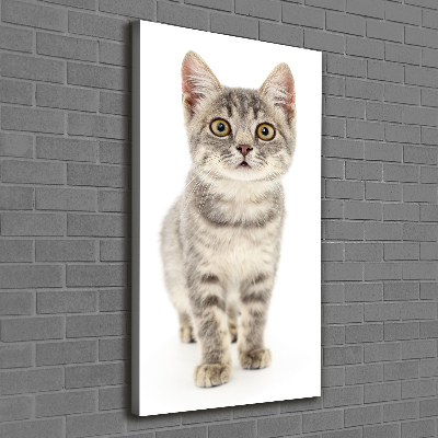 Canvas print Gray cat