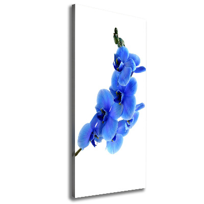 Large canvas wall art Blue orchid