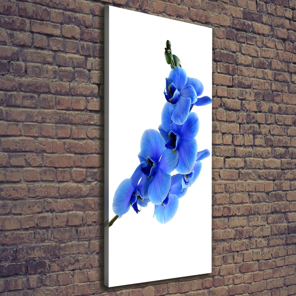 Large canvas wall art Blue orchid