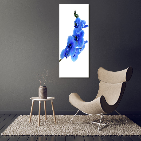 Large canvas wall art Blue orchid