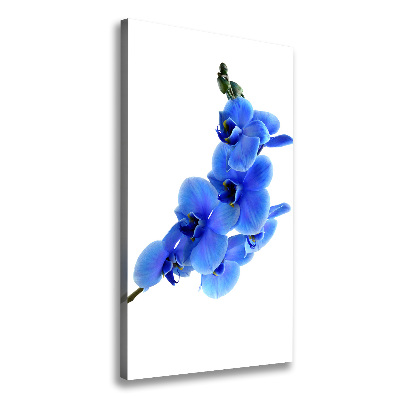 Large canvas wall art Blue orchid