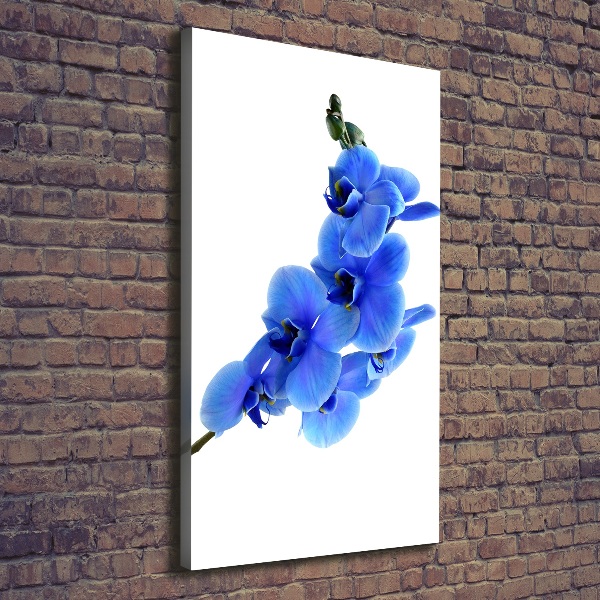 Large canvas wall art Blue orchid