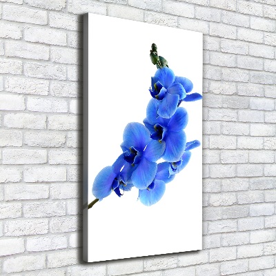 Large canvas wall art Blue orchid