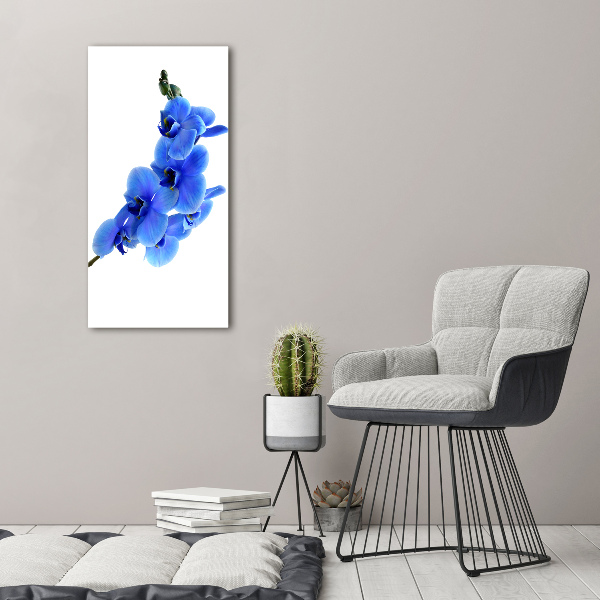 Large canvas wall art Blue orchid