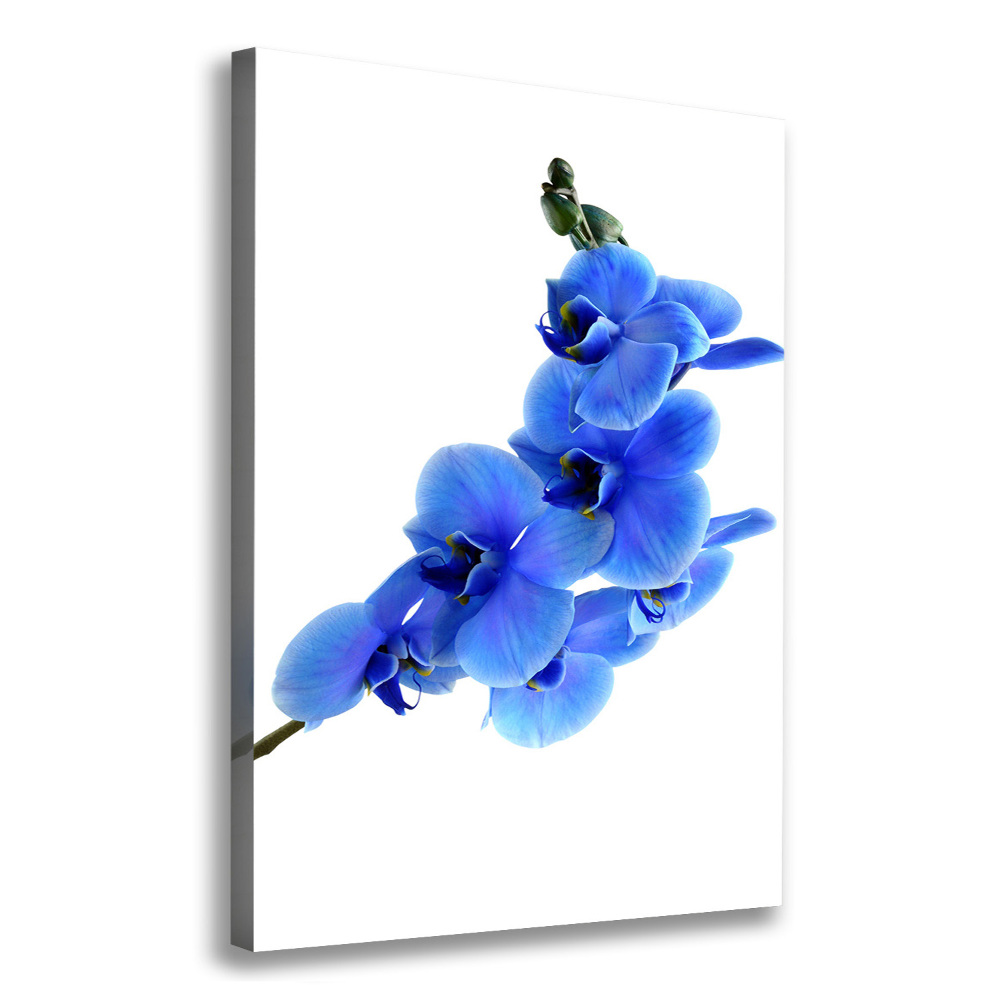 Large canvas wall art Blue orchid