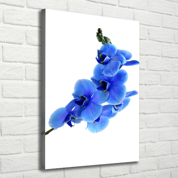 Large canvas wall art Blue orchid