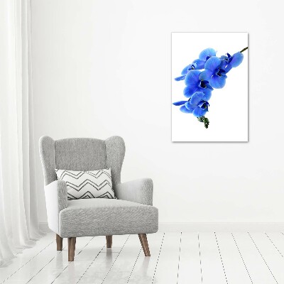 Large canvas wall art Blue orchid