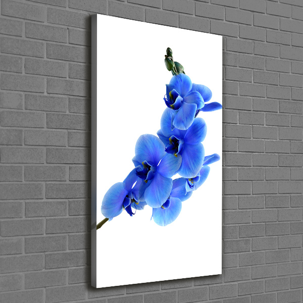 Large canvas wall art Blue orchid