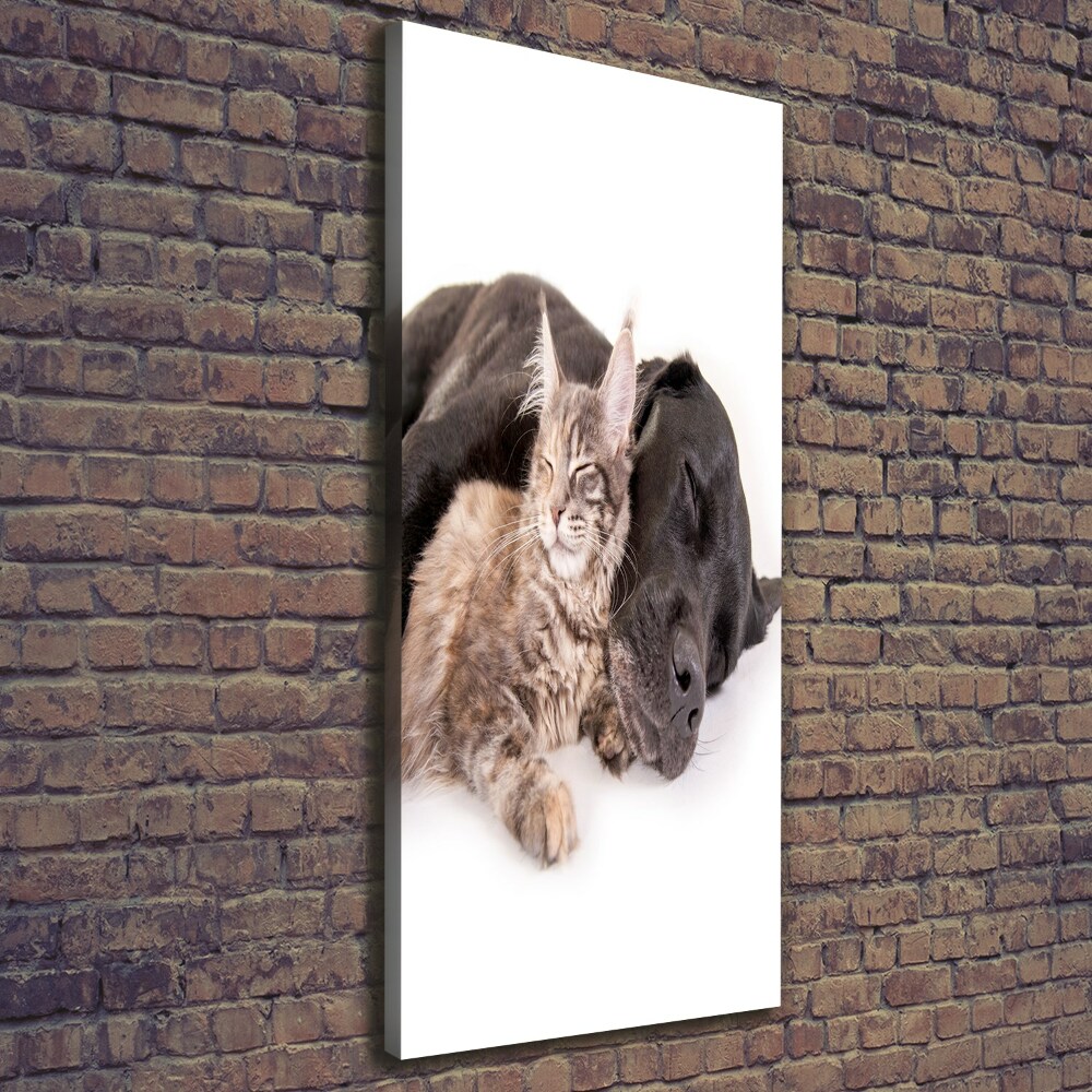 Wall art canvas large Dog and cat