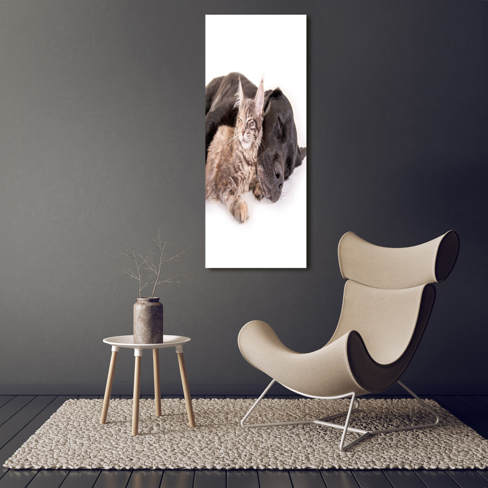 Wall art canvas large Dog and cat