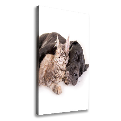 Wall art canvas large Dog and cat