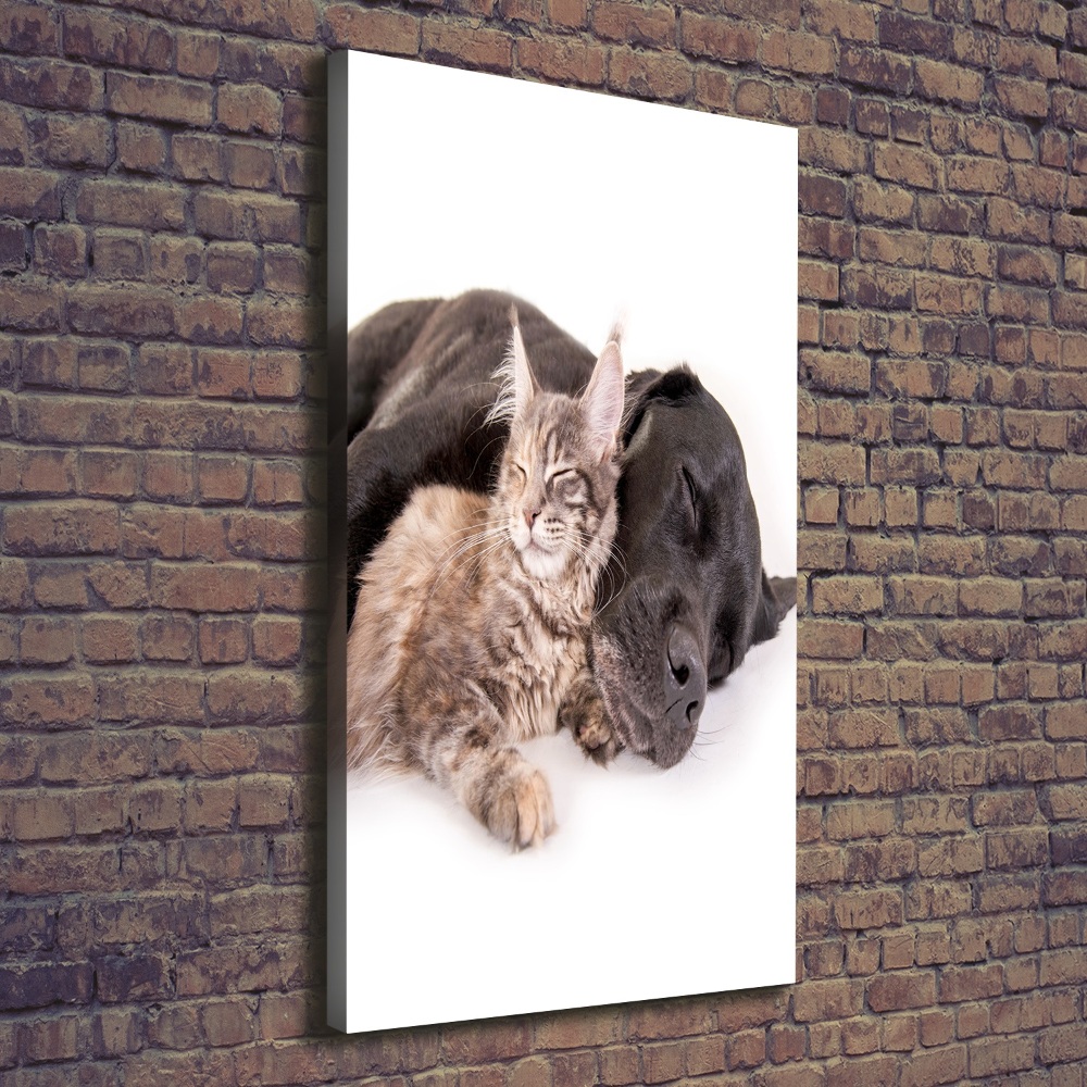 Wall art canvas large Dog and cat