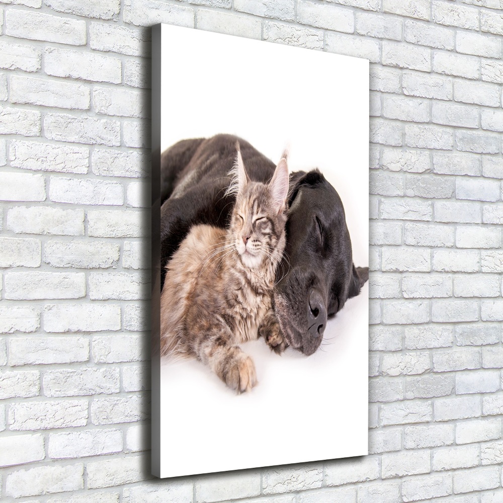 Wall art canvas large Dog and cat