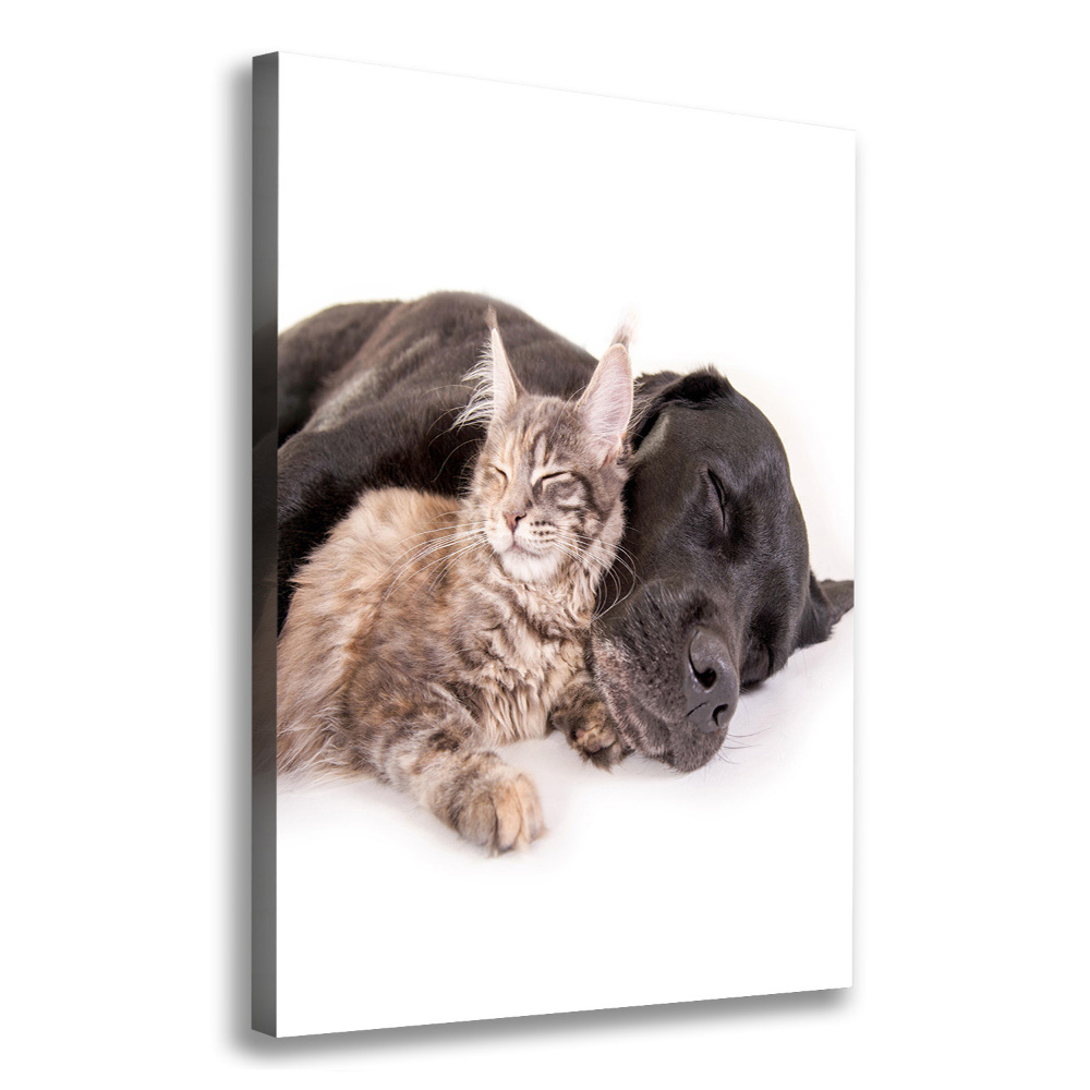 Wall art canvas large Dog and cat