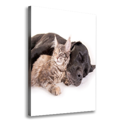 Wall art canvas large Dog and cat