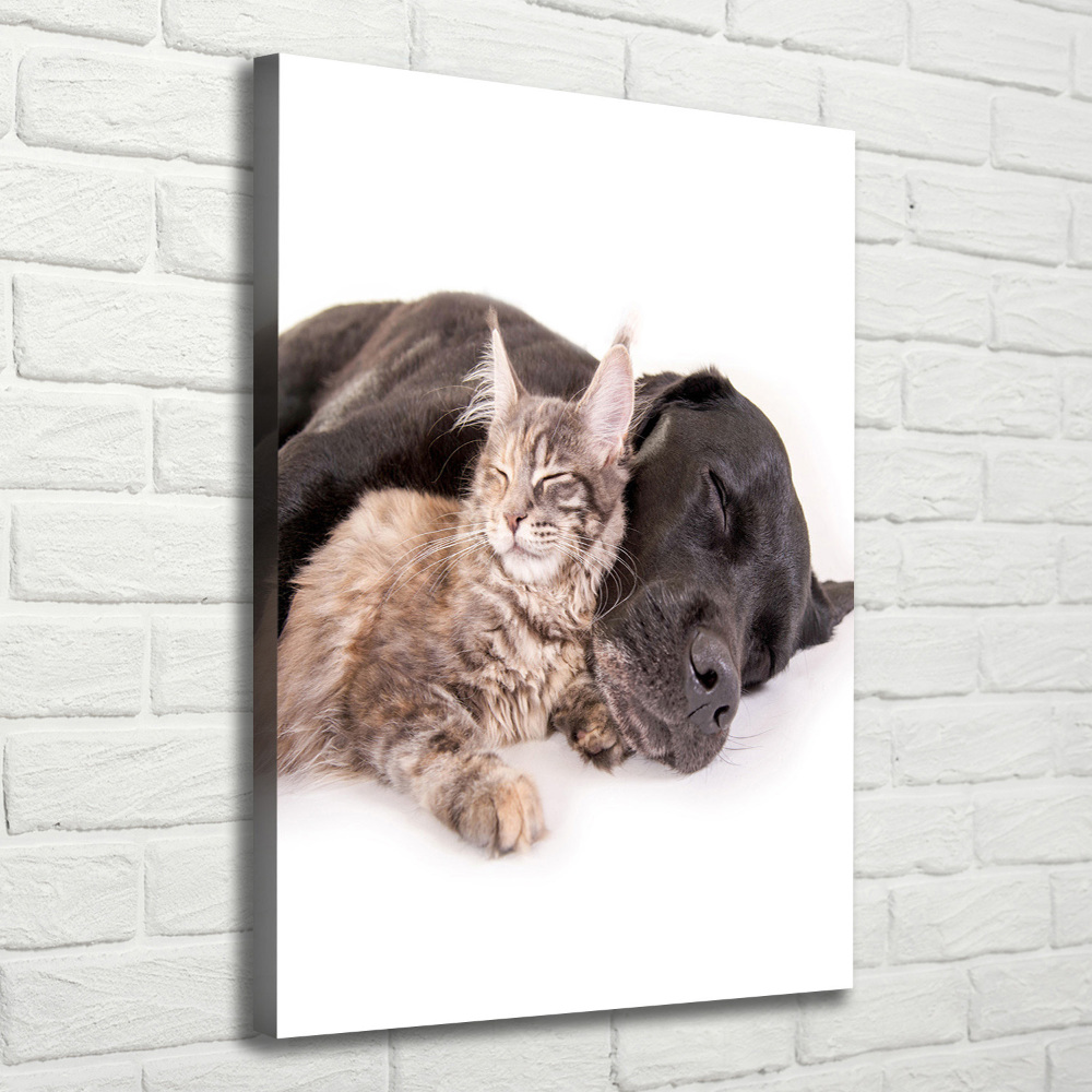 Wall art canvas large Dog and cat