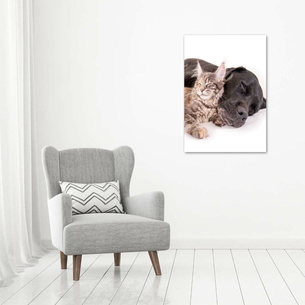 Wall art canvas large Dog and cat