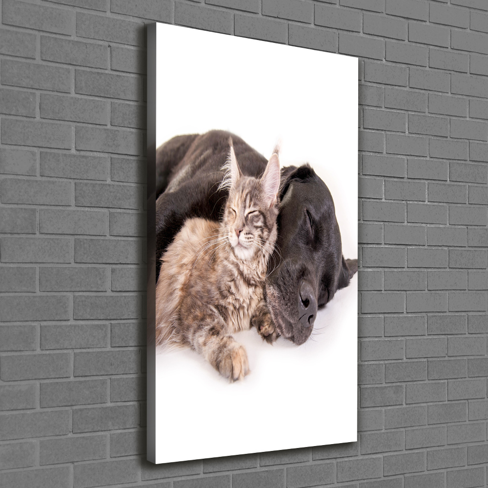 Wall art canvas large Dog and cat