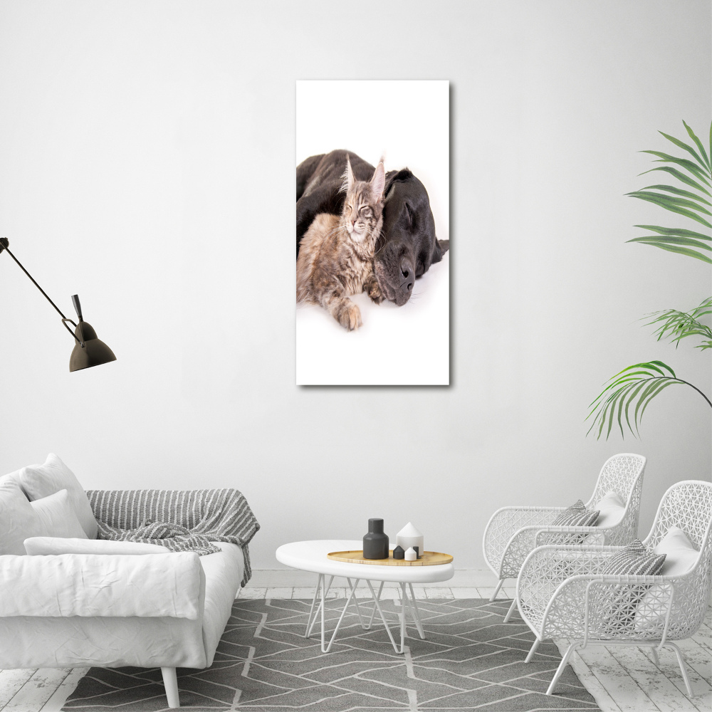 Wall art canvas large Dog and cat