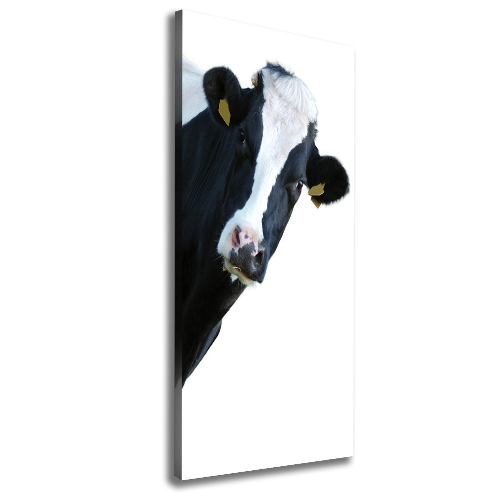 Canvas print Spotted cow