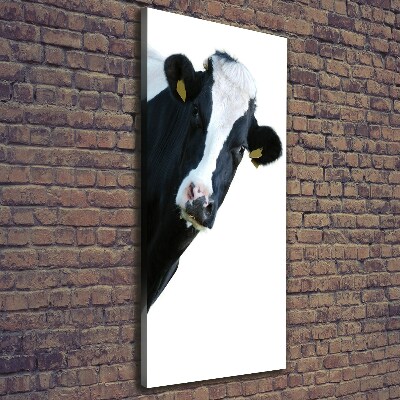 Canvas print Spotted cow