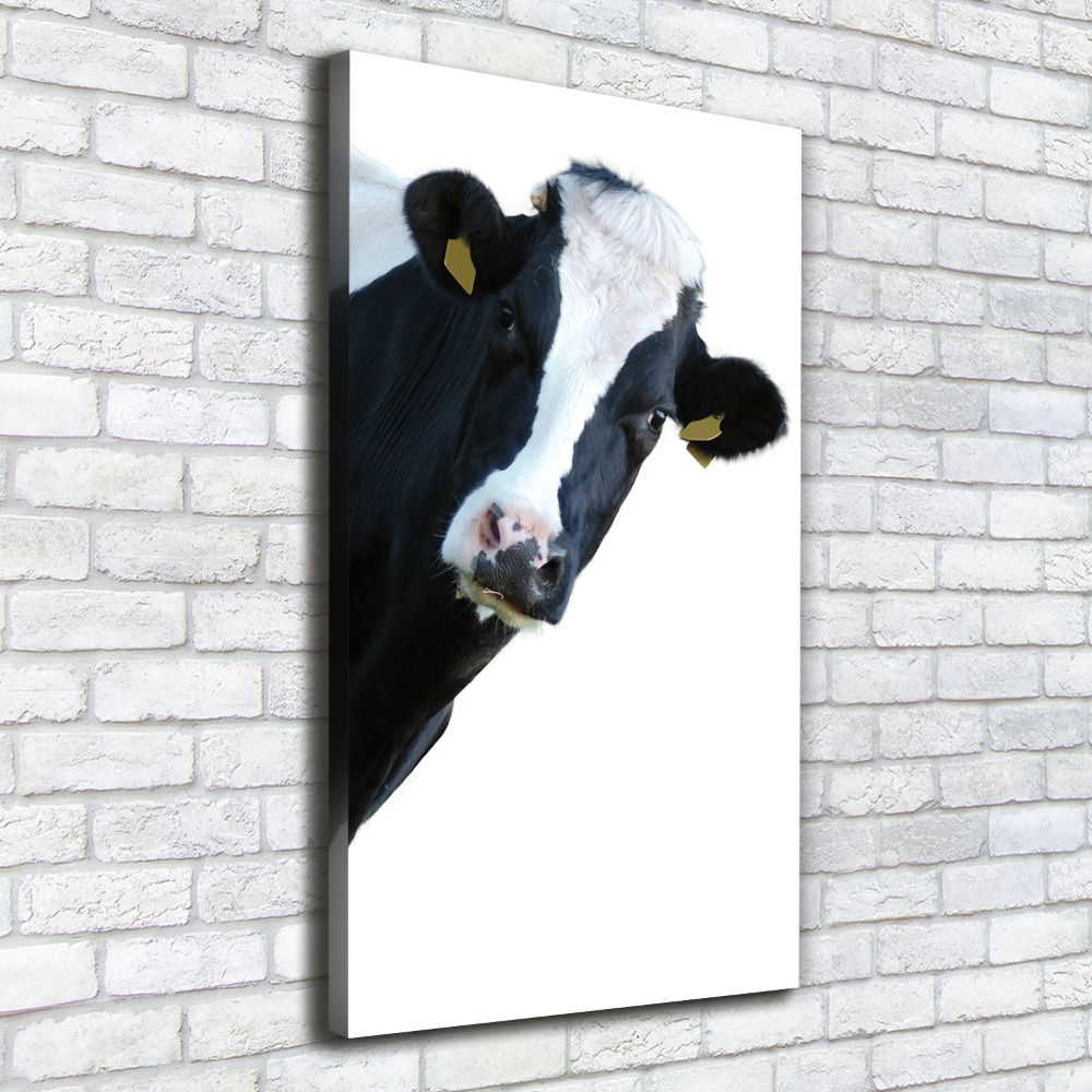 Canvas print Spotted cow