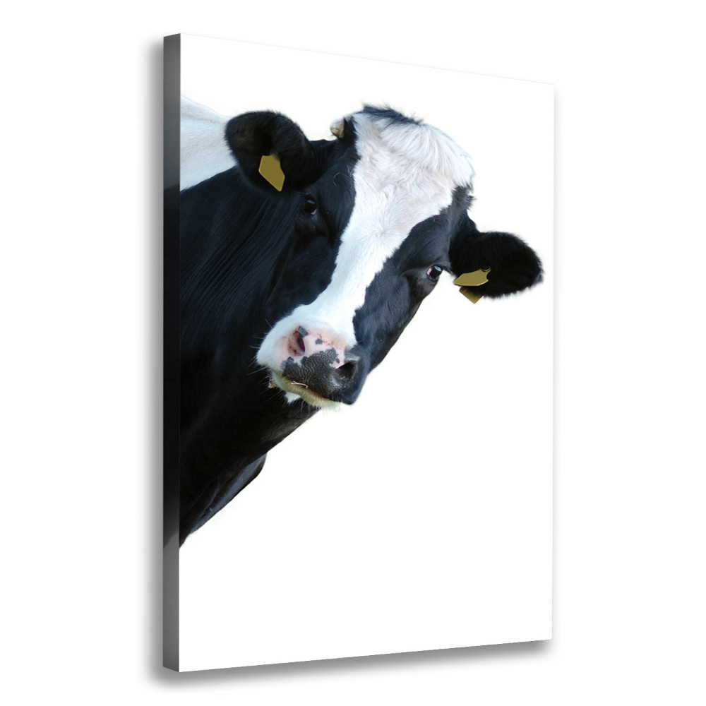 Canvas print Spotted cow