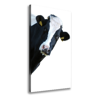 Canvas print Spotted cow