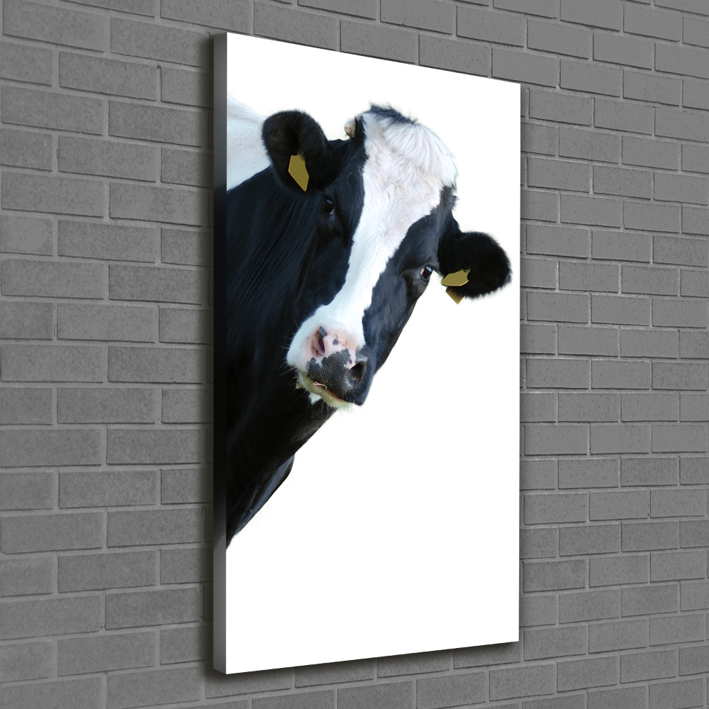 Canvas print Spotted cow