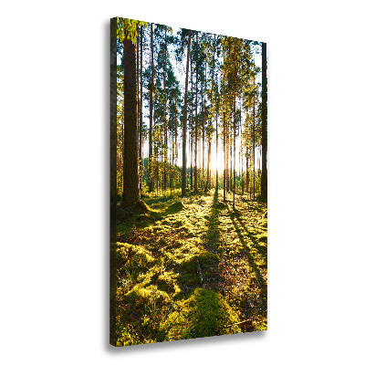 Wall art canvas a pine forest