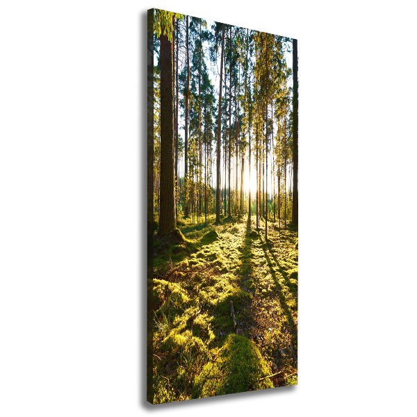 Wall art canvas a pine forest