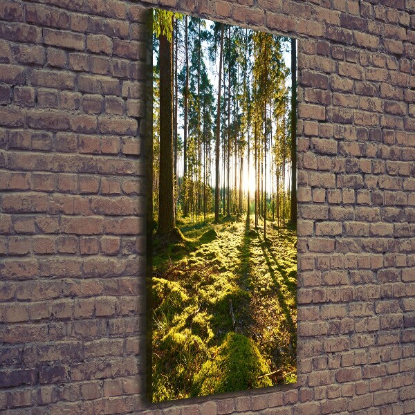 Wall art canvas a pine forest