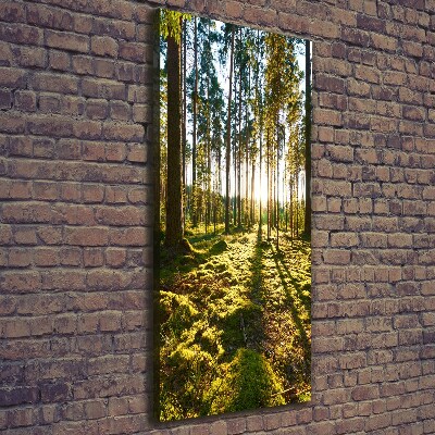 Wall art canvas a pine forest