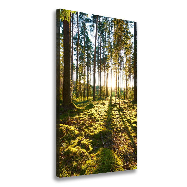 Wall art canvas a pine forest