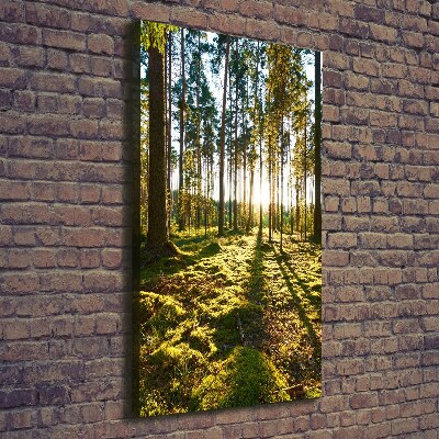 Wall art canvas a pine forest