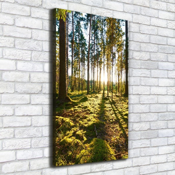 Wall art canvas a pine forest