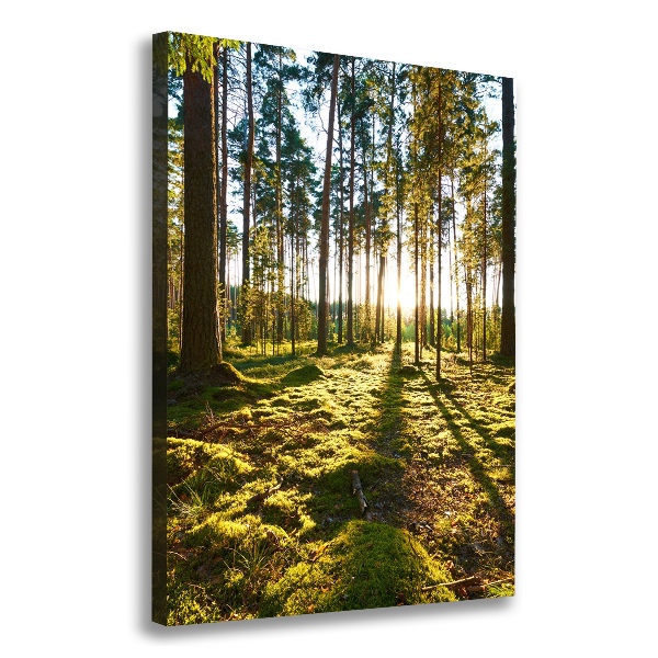 Wall art canvas a pine forest