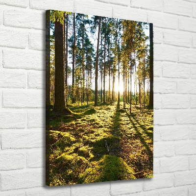 Wall art canvas a pine forest