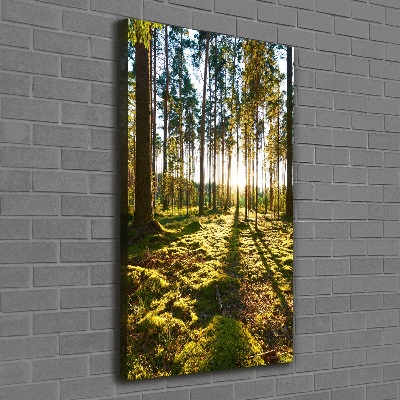 Wall art canvas a pine forest