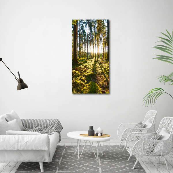 Wall art canvas a pine forest