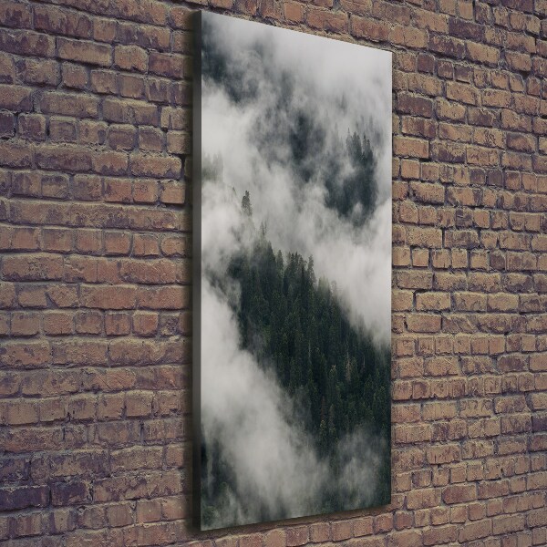 Wall art canvas Cloud over the forest