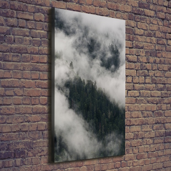 Wall art canvas Cloud over the forest