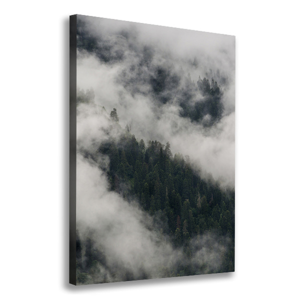 Wall art canvas Cloud over the forest